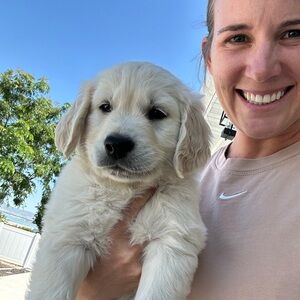 Meet your Posher, Liz